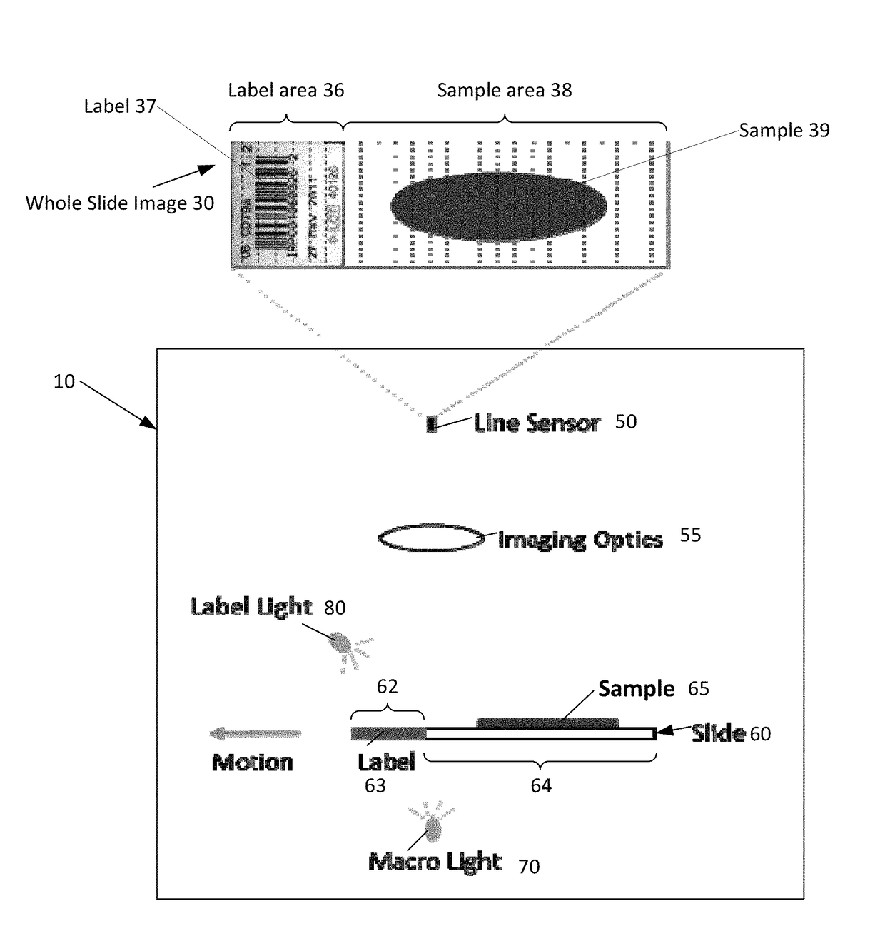 Low resolution slide imaging and slide label imaging and high resolution slide imaging using dual optical paths and a single imaging sensor