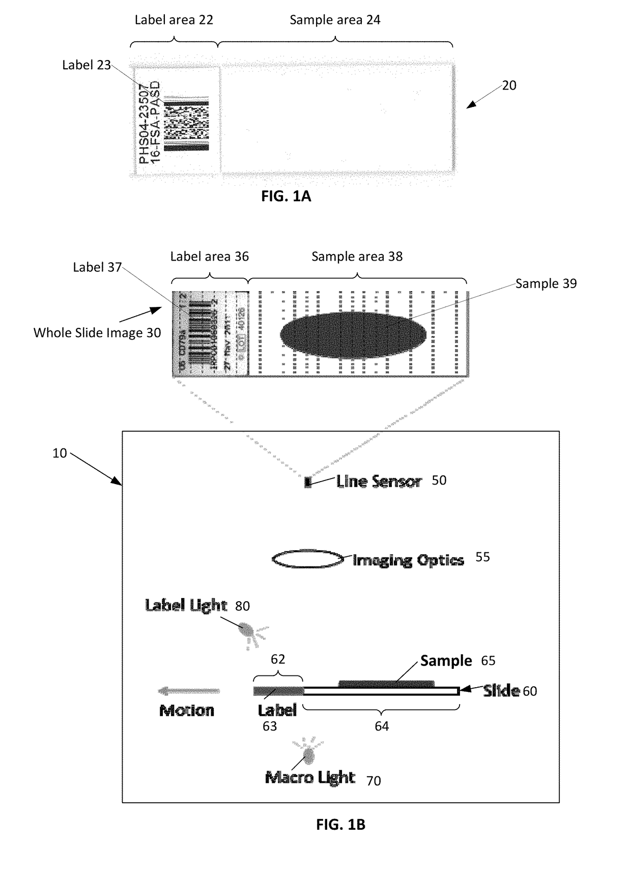 Low resolution slide imaging and slide label imaging and high resolution slide imaging using dual optical paths and a single imaging sensor