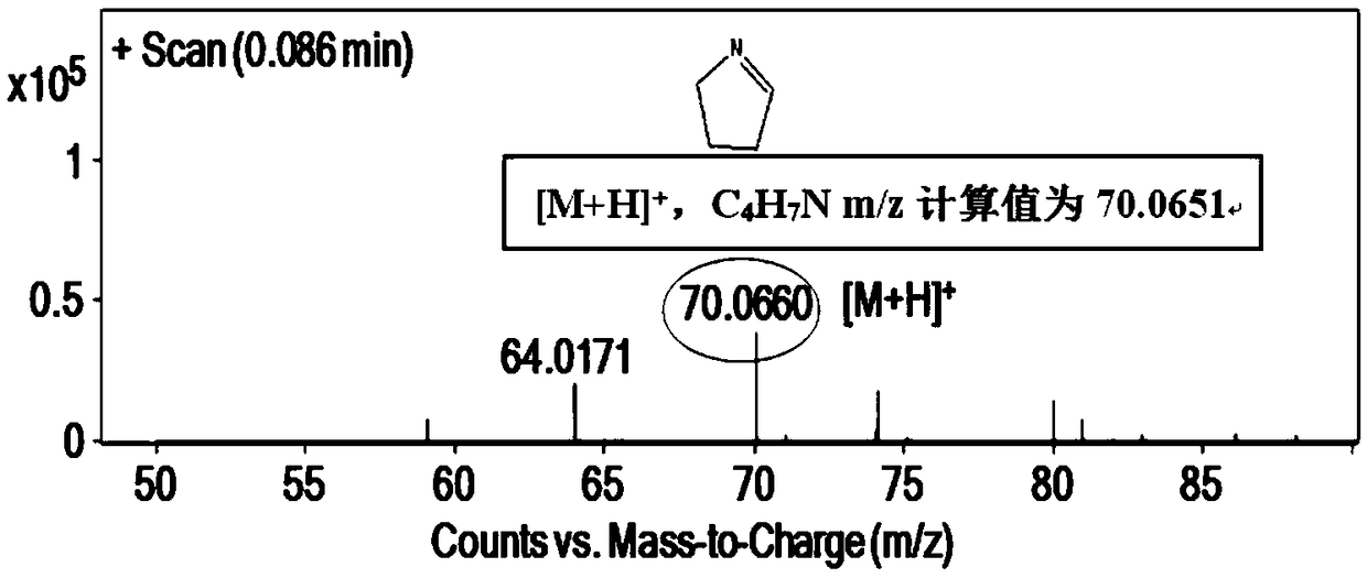 Hyperpolarization &lt;129&gt;Xe switch type magnetic resonance molecular probe for identifying diamine oxidase