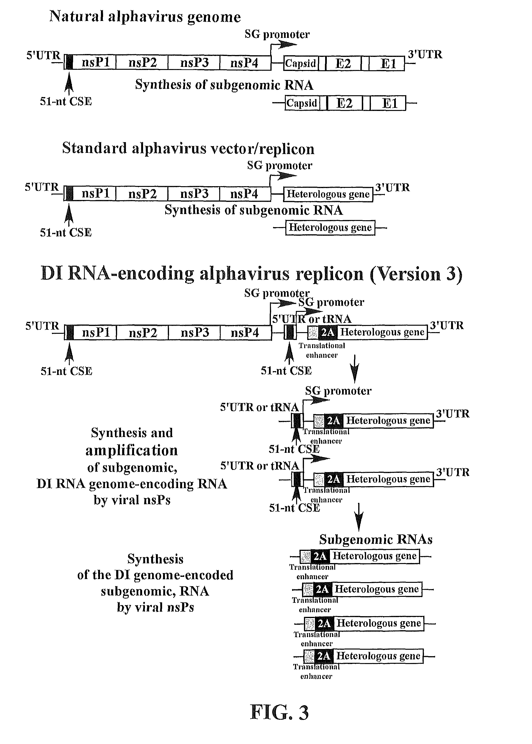 Methods and compositions for alphavirus replicons