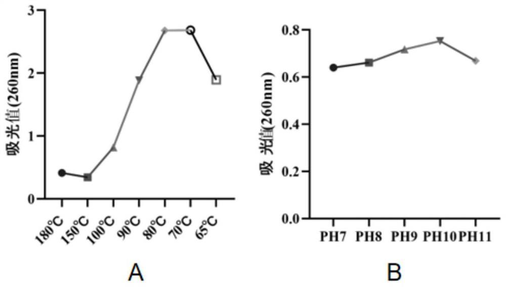 Preparation method and application of selenium-doped carbon quantum dots prepared based on selenium-enriched yeast