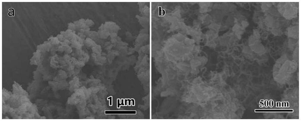 A kind of porous silicon@amorphous carbon/carbon nanotube composite material and its preparation method and application