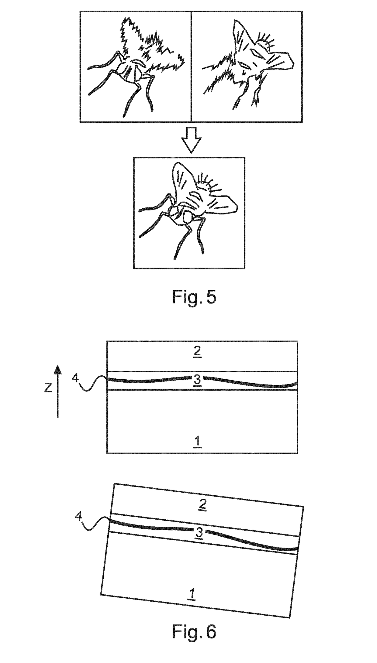 System for generating a synthetic 2d image with an enhanced depth of field of a biological sample