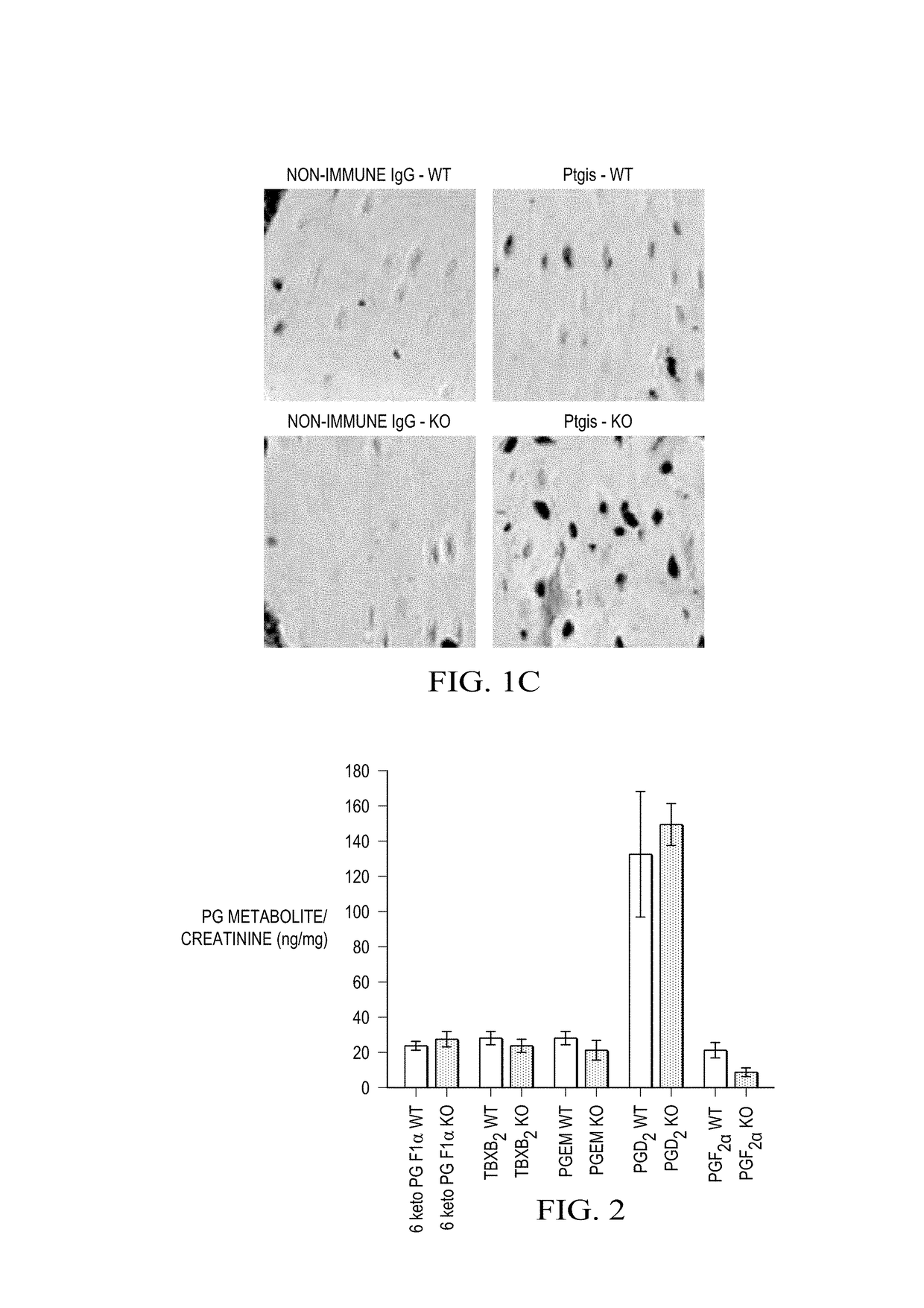 Prostacyclin compositions for regulation of fracture repair and bone formation