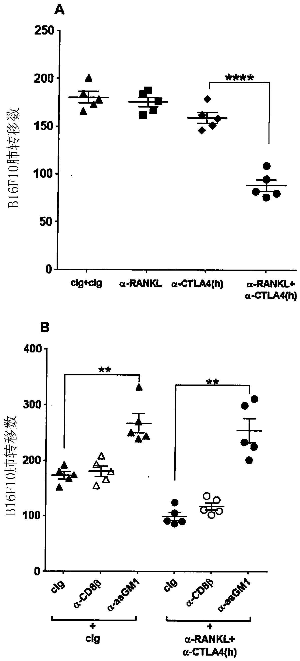 Combination of, or bispecific binding molecule to, immune checkpoint molecule antagonist and rank-l (nf- kb ligand) antagonist for cancer therapy or prophylaxis and uses therefore