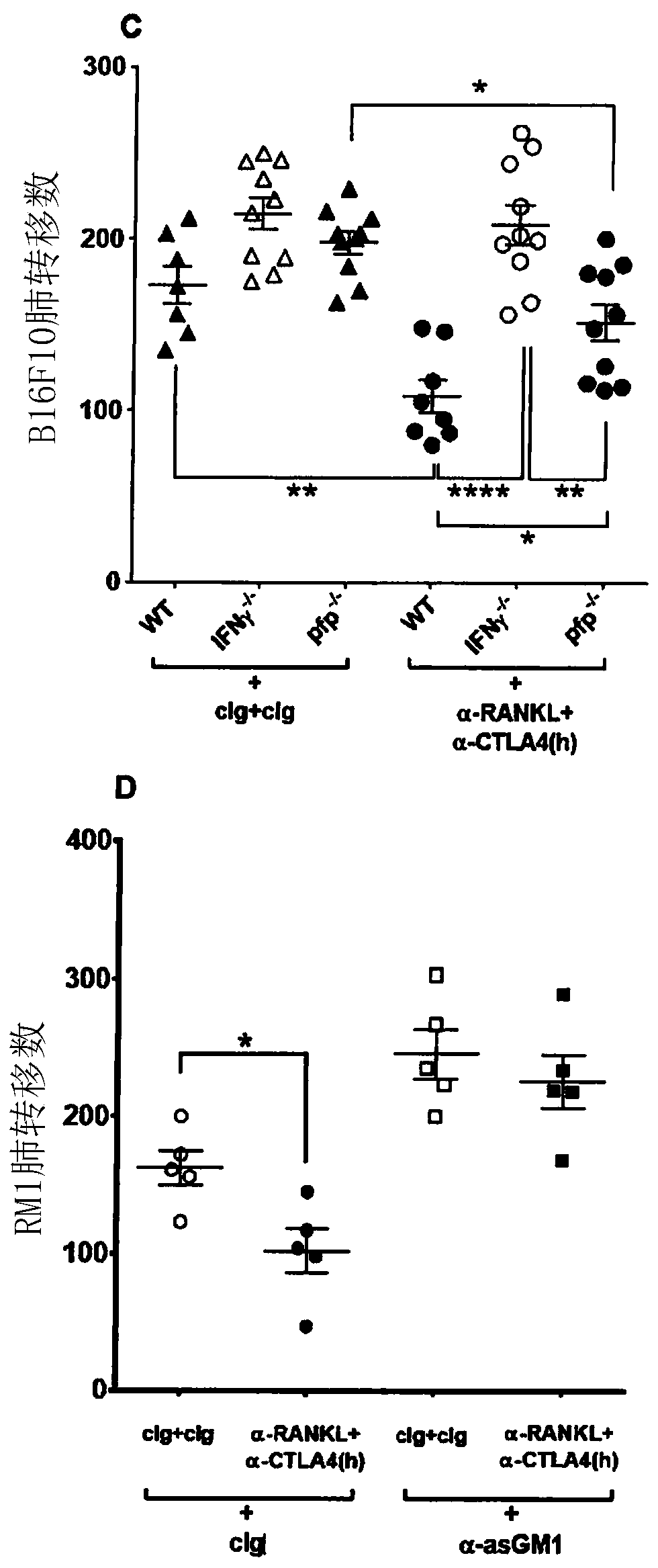 Combination of, or bispecific binding molecule to, immune checkpoint molecule antagonist and rank-l (nf- kb ligand) antagonist for cancer therapy or prophylaxis and uses therefore