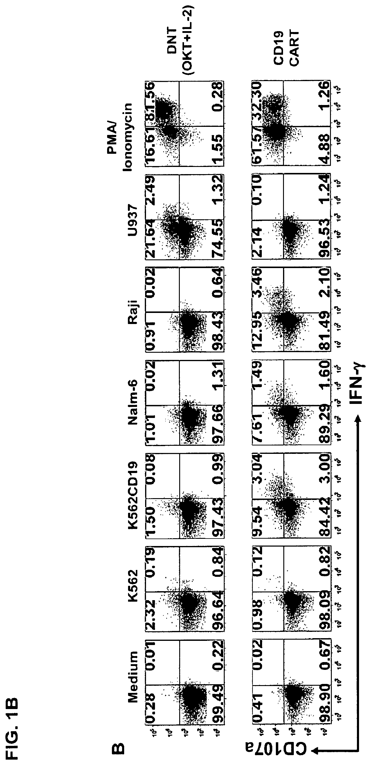 Type iii nkt cells and related compositions and methods