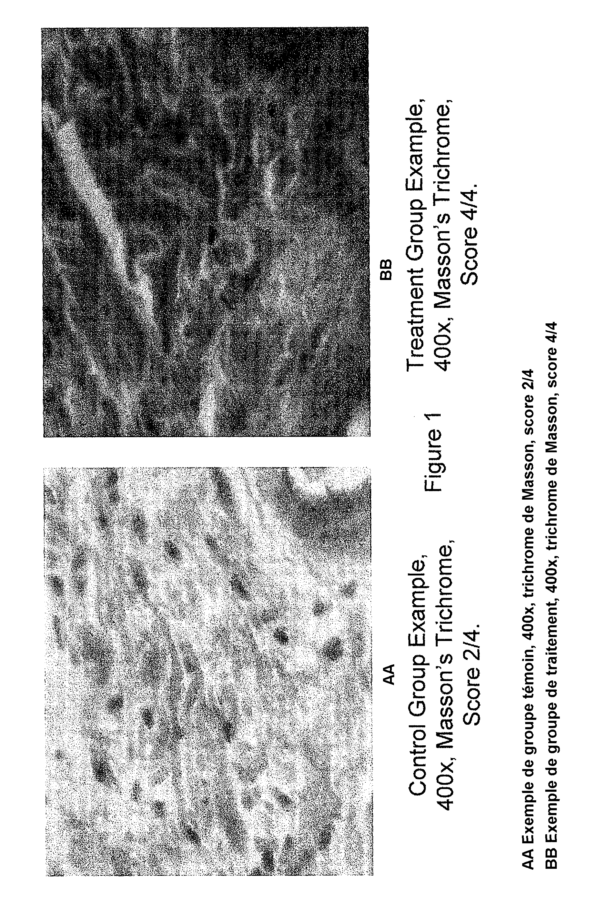 Peptide nanoparticles and uses therefor