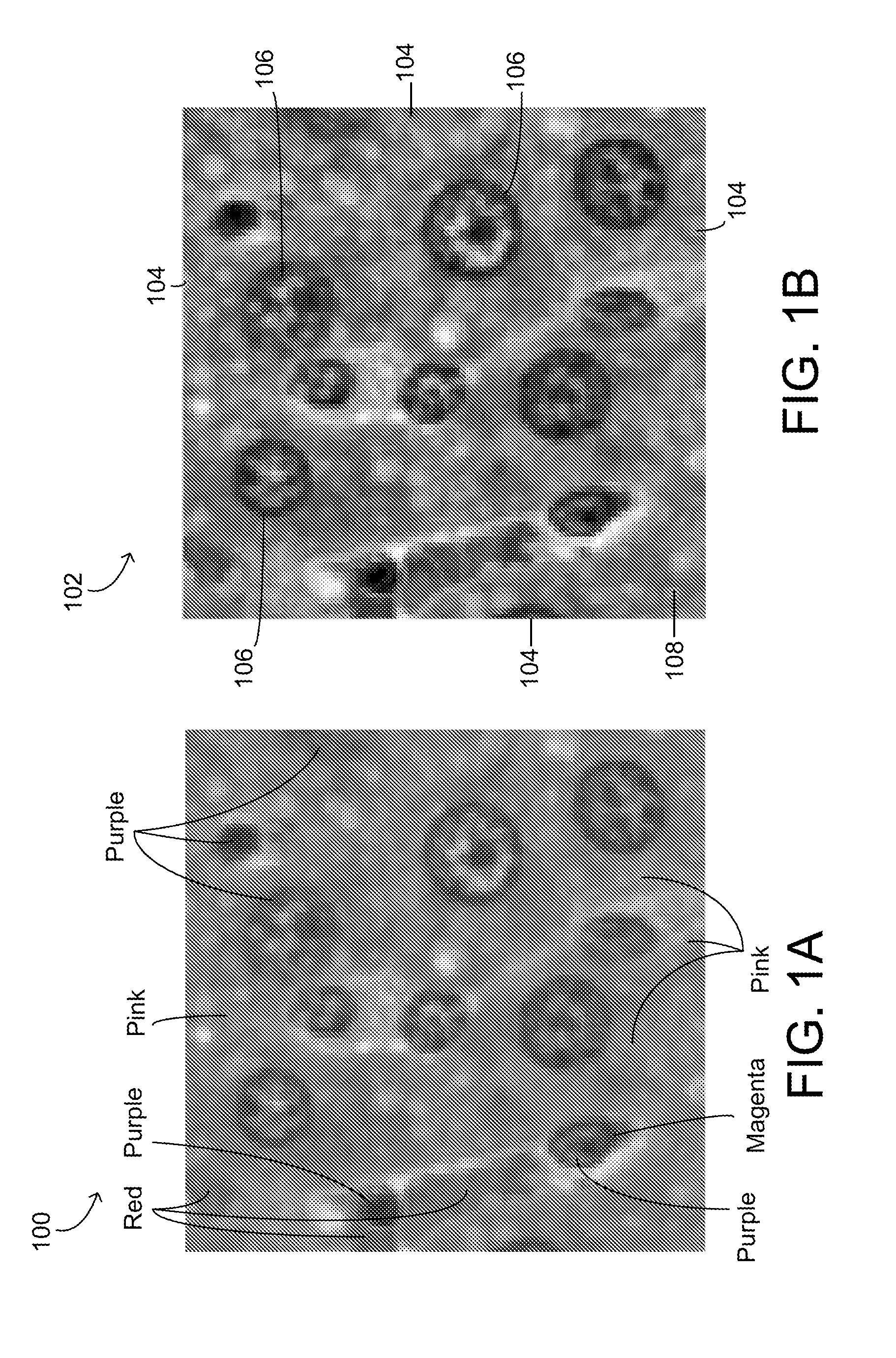 Systems and Methods for Object Identification