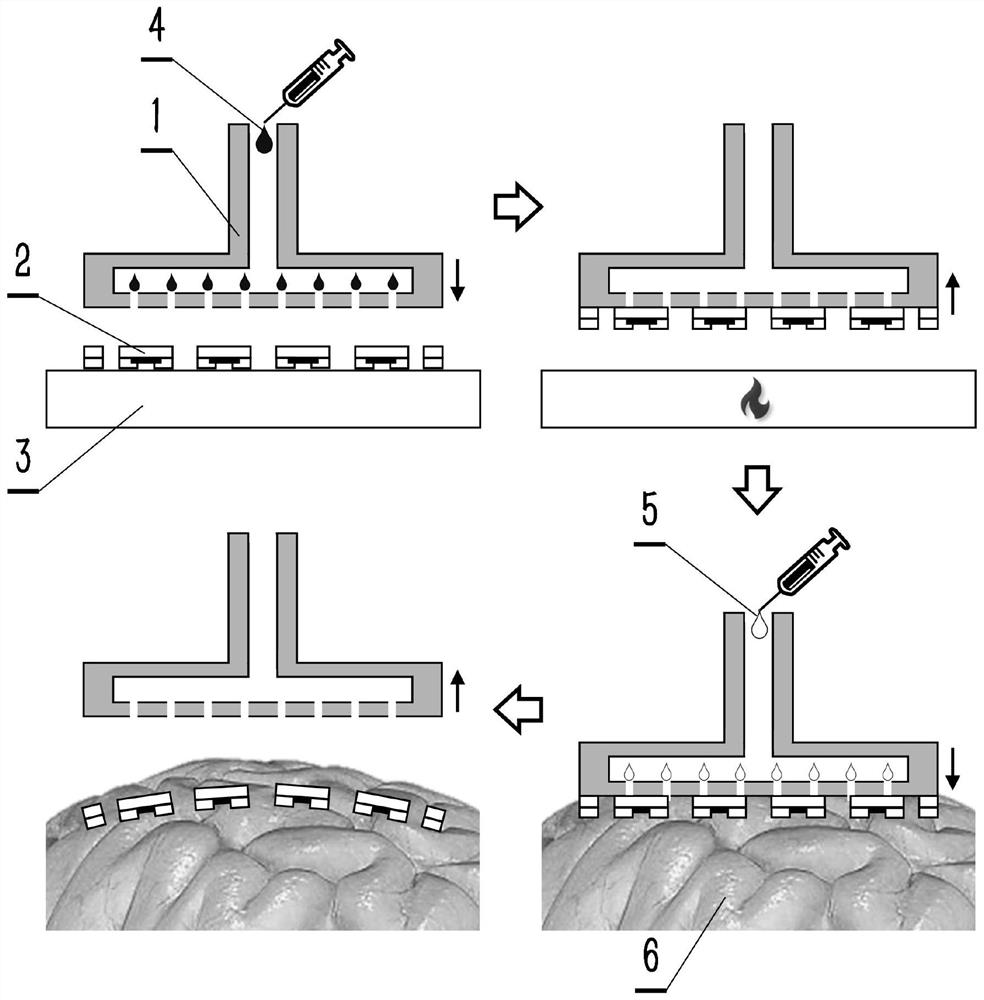 Extensible flexible electrode transfer method based on elastic seal containing fluid channel