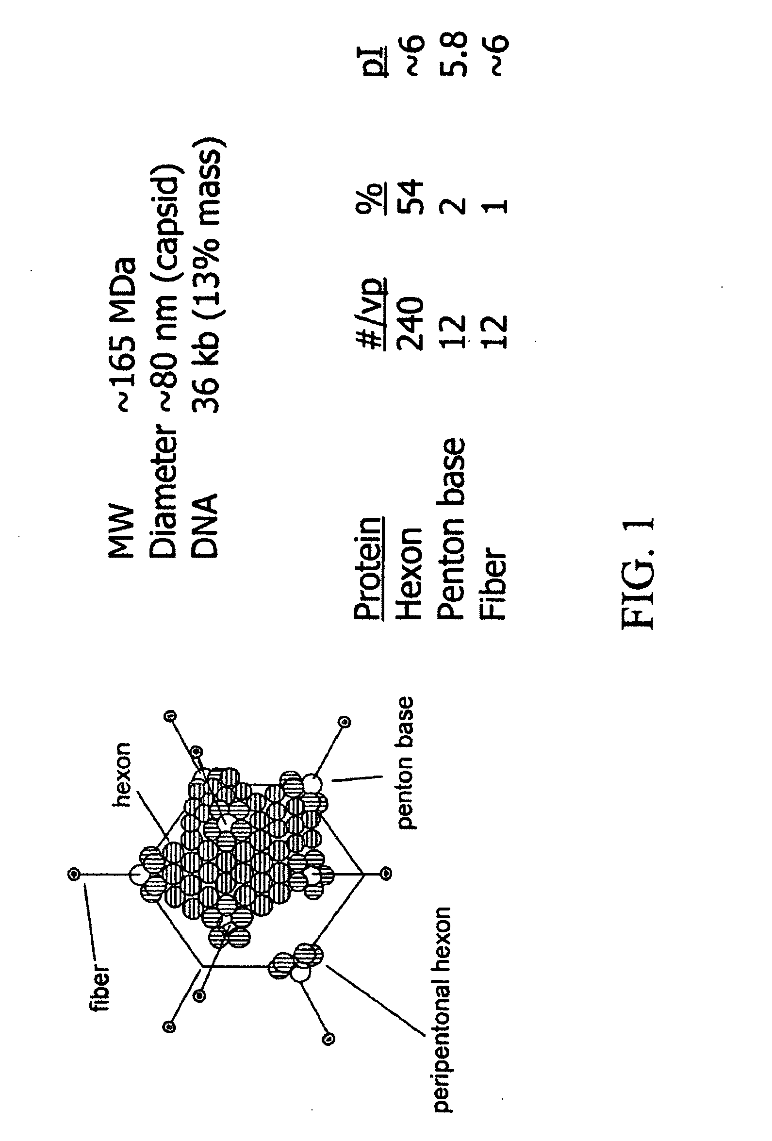 Apparatus and methods for increasing lateral mass transfer over molecule sensors