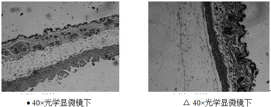 Defending liquid and preparation method and application thereof