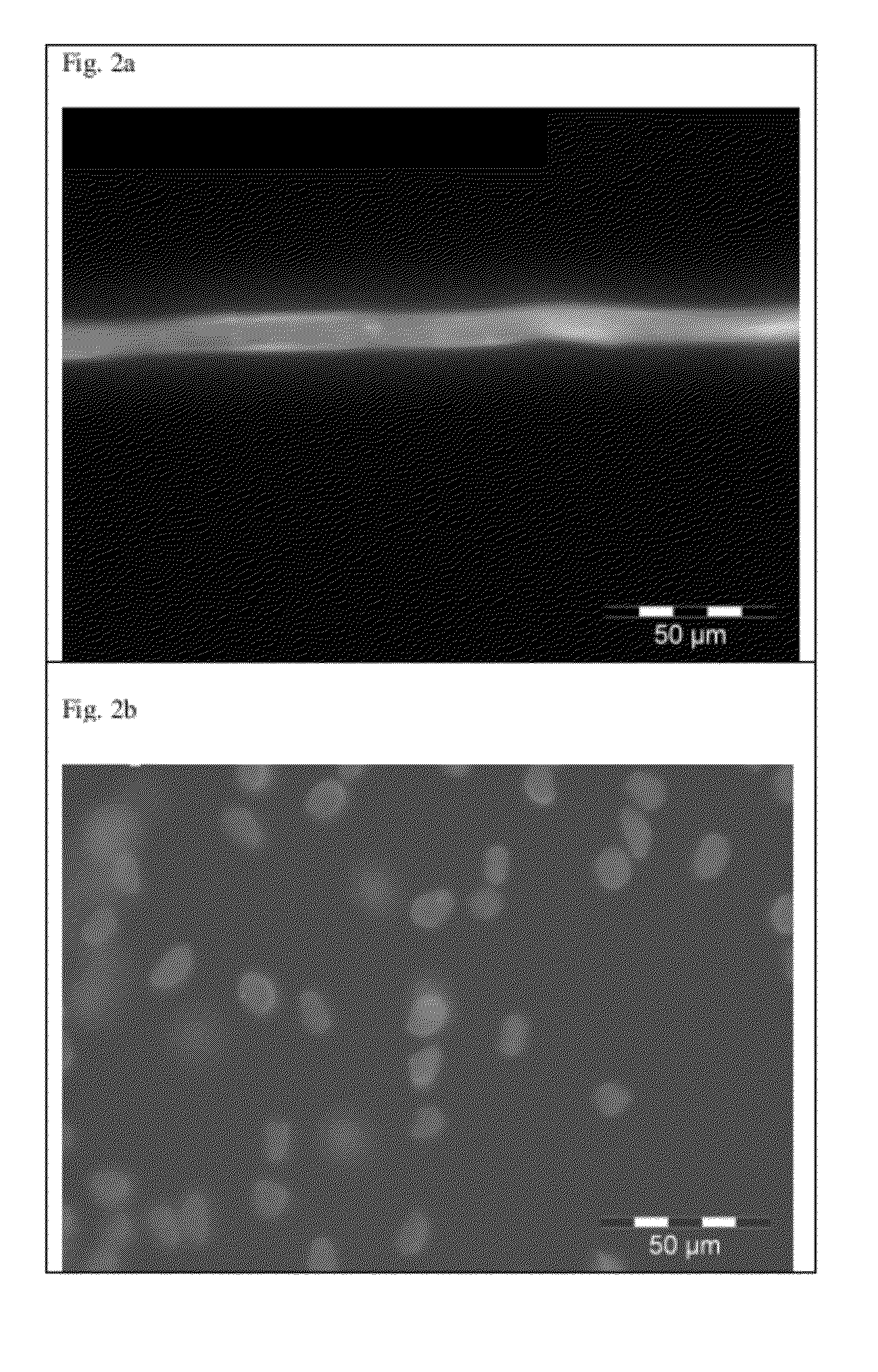 Functionalized molded cellulose body and method for producing the same
