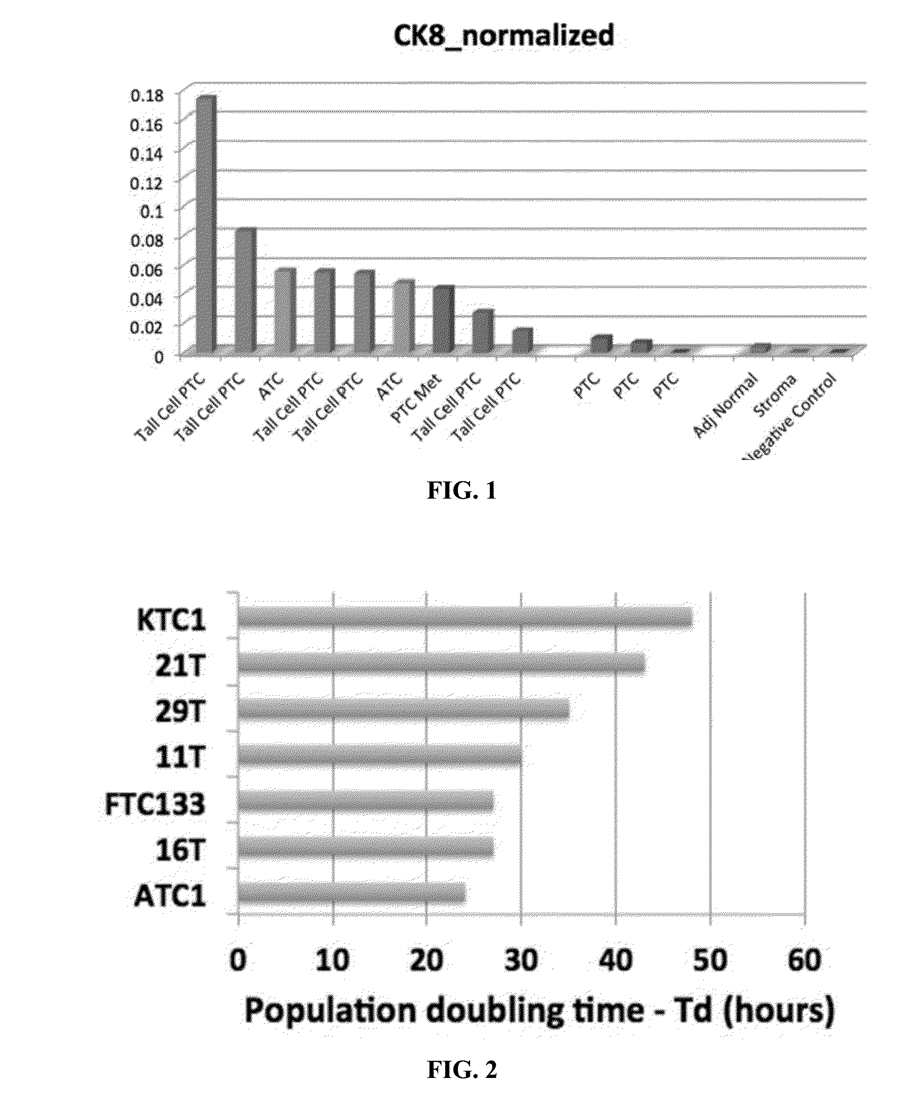 Compositions and methods for treating anaplastic thyroid cancer