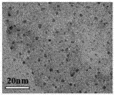 Stainless steel stain-resistant nano-coating and preparation method thereof
