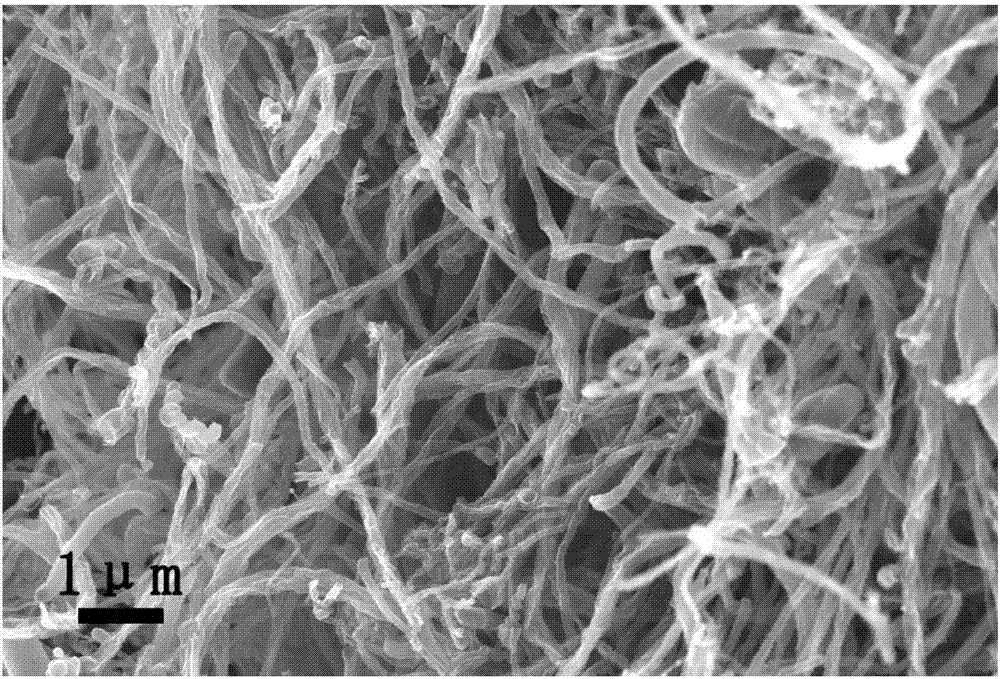 Nickel-filled nitrogen-doped carbon nanotubes as well as preparation method and application thereof