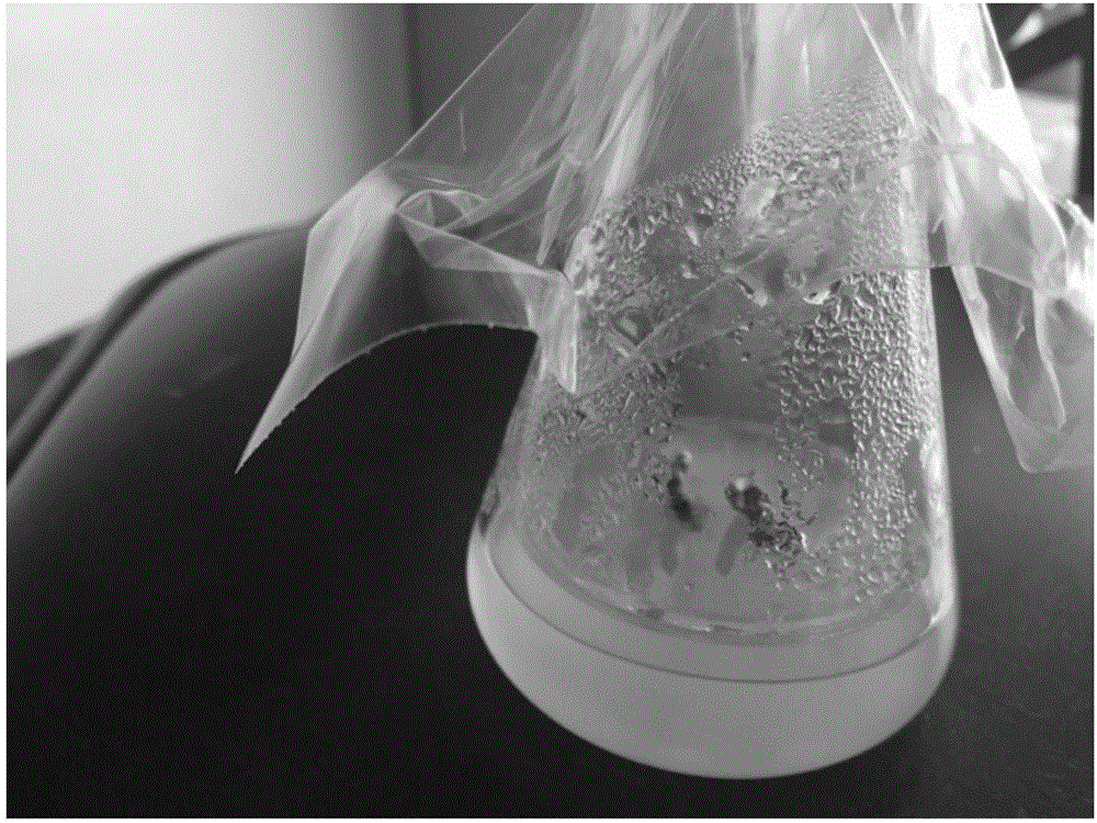 Tissue culture medium and culture method of malus spectabilis