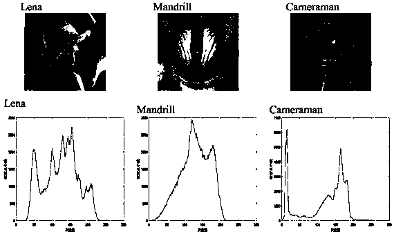 A multi-threshold image segmentation method based on adaptive cuckoo optimization