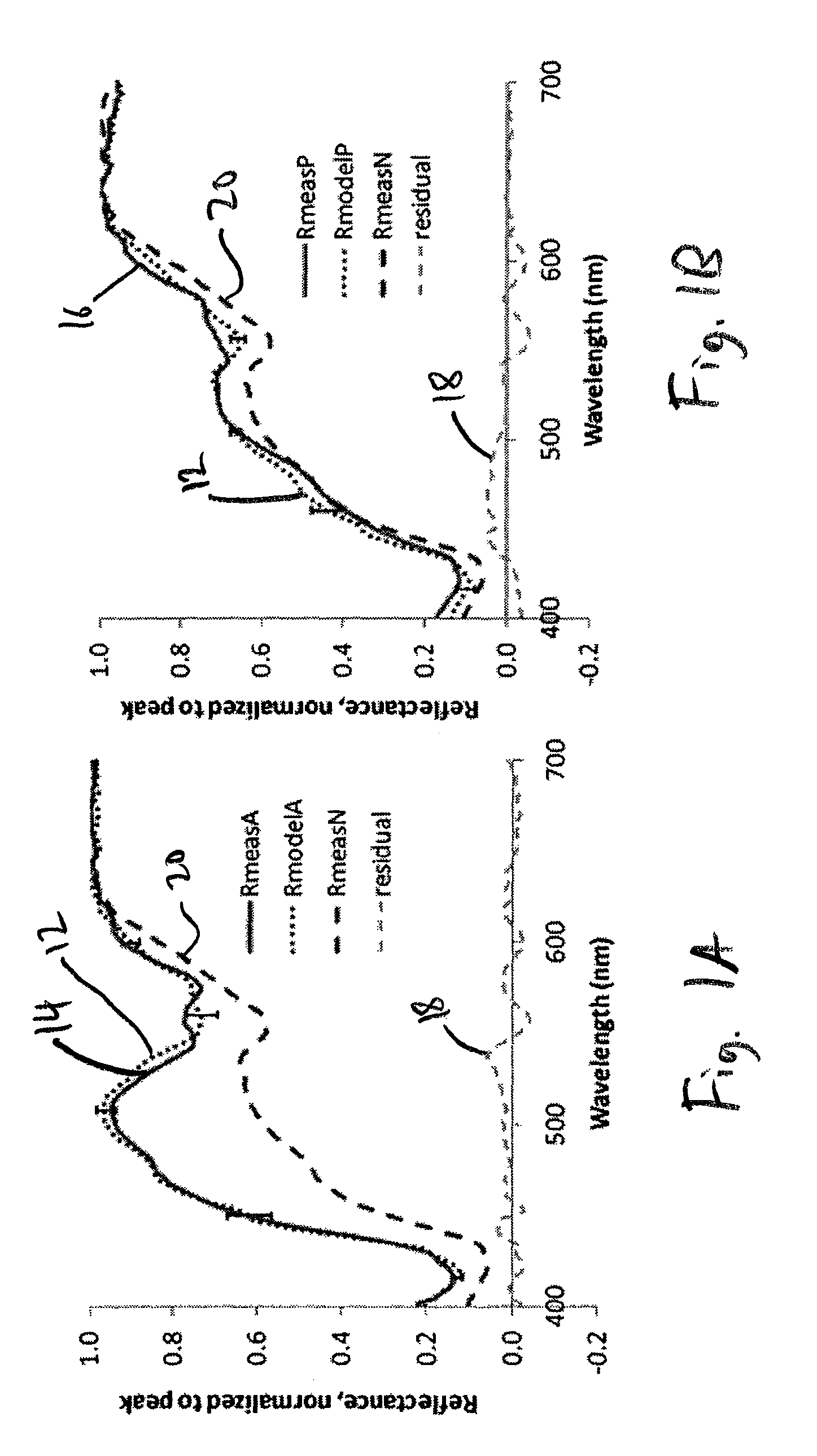 Multimodal spectroscopic systems and methods for classifying biological tissue