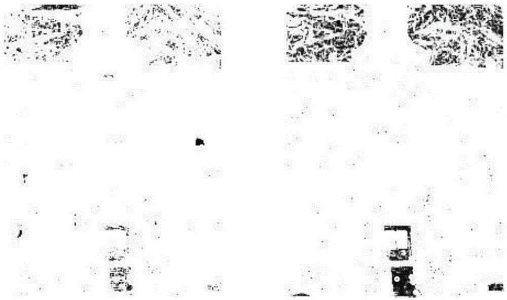 Tone mapping image quality evaluation method based on gradient magnitude similarity