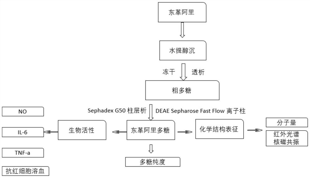 A kind of Tongkat Ali polysaccharide with immunomodulatory and anti-erythrocyte hemolytic activity and preparation method thereof