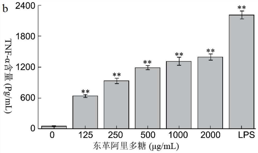 A kind of Tongkat Ali polysaccharide with immunomodulatory and anti-erythrocyte hemolytic activity and preparation method thereof