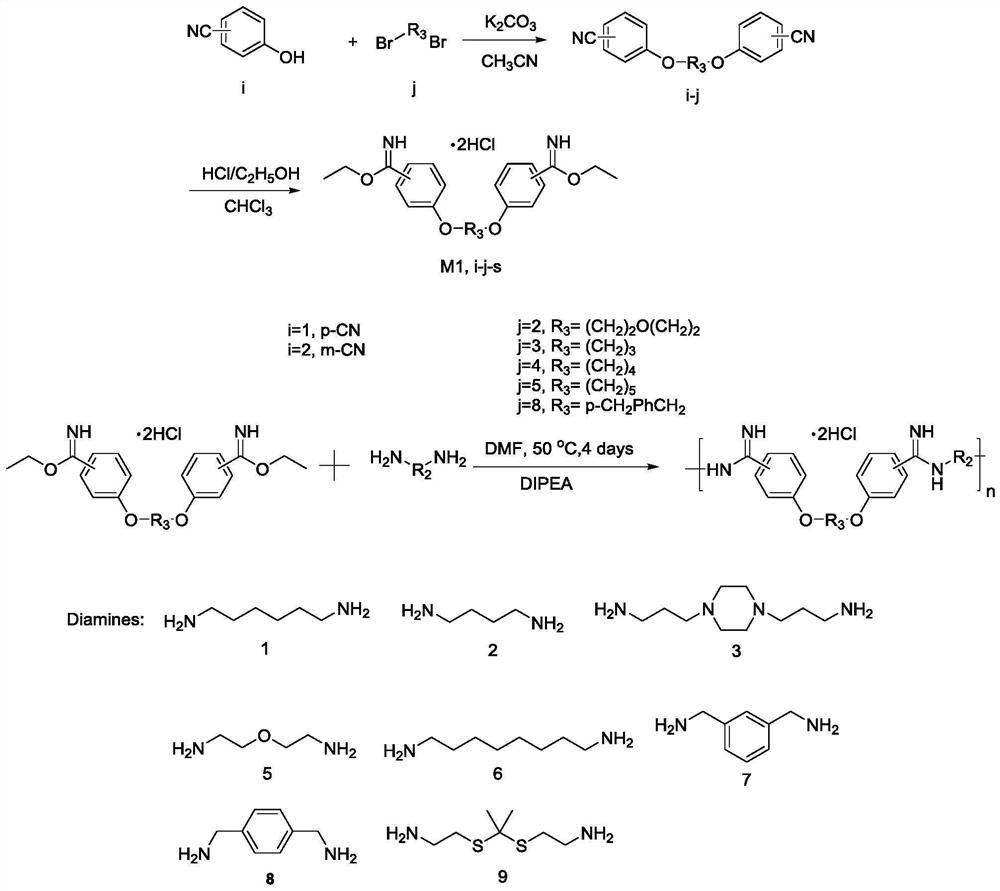 Anti-drug-resistance antibacterial amidine oligomer as well as preparation method and application thereof