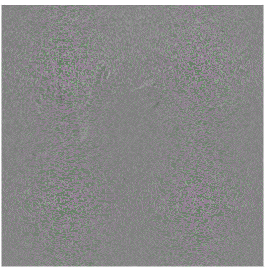 Polarized image fusion method based on discrete continuous curvelet