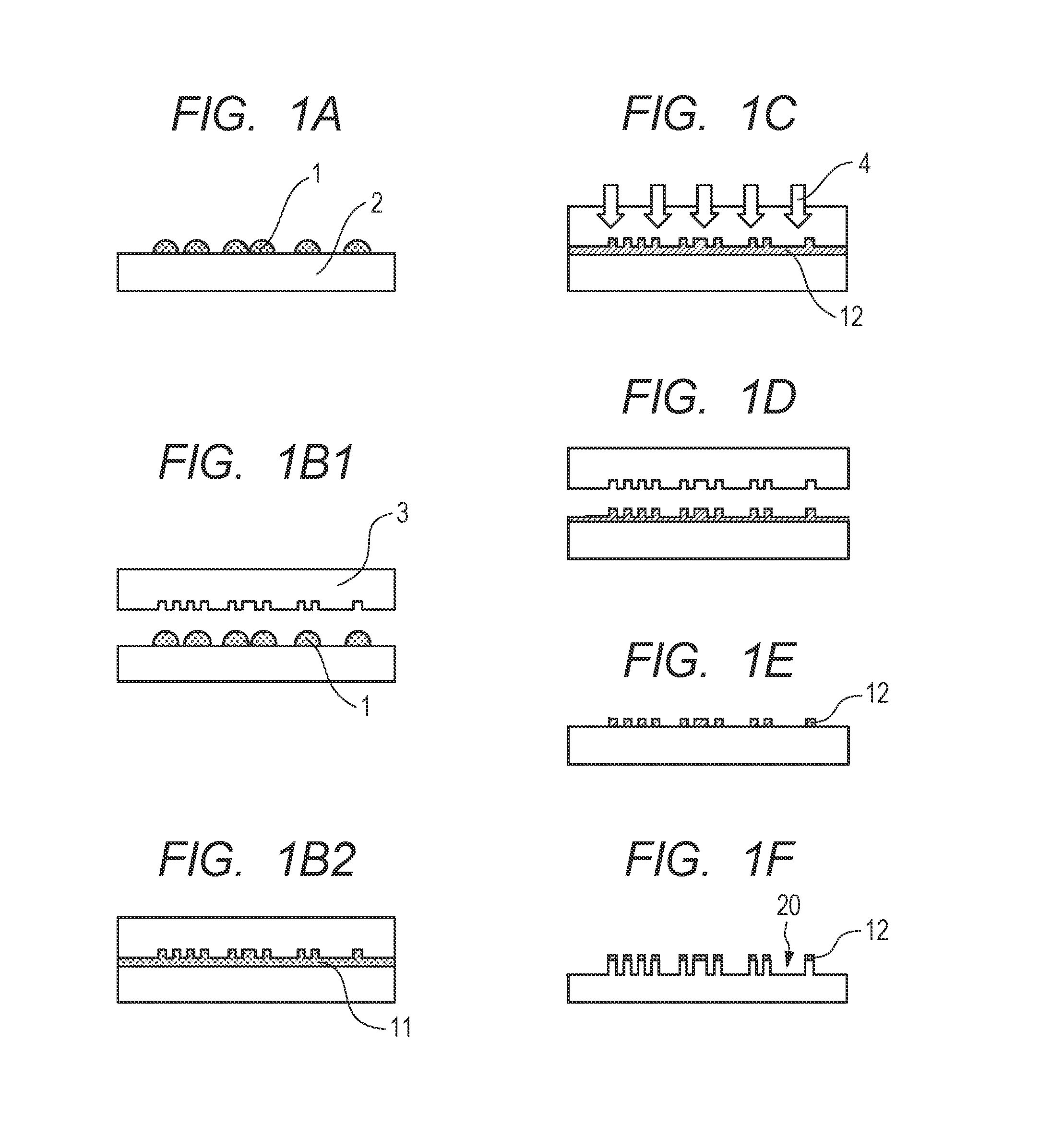 Curable composition, film, and method of producing film