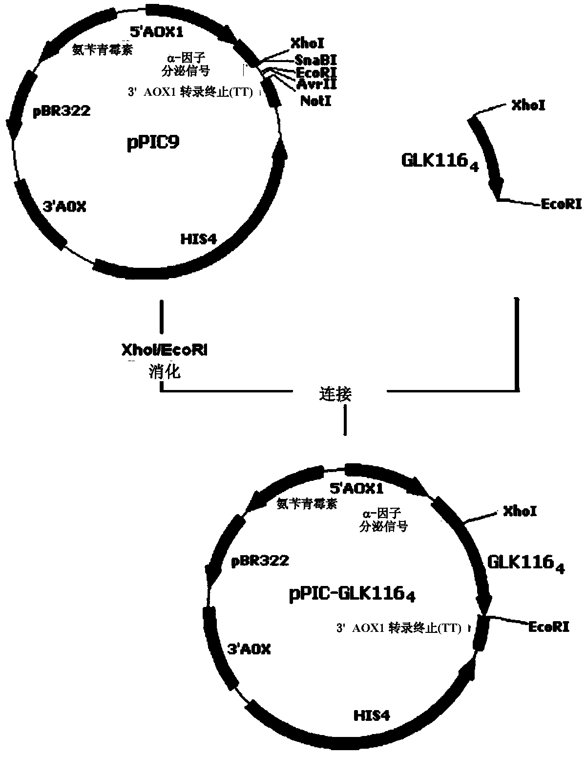 Use of gelatin-like unit