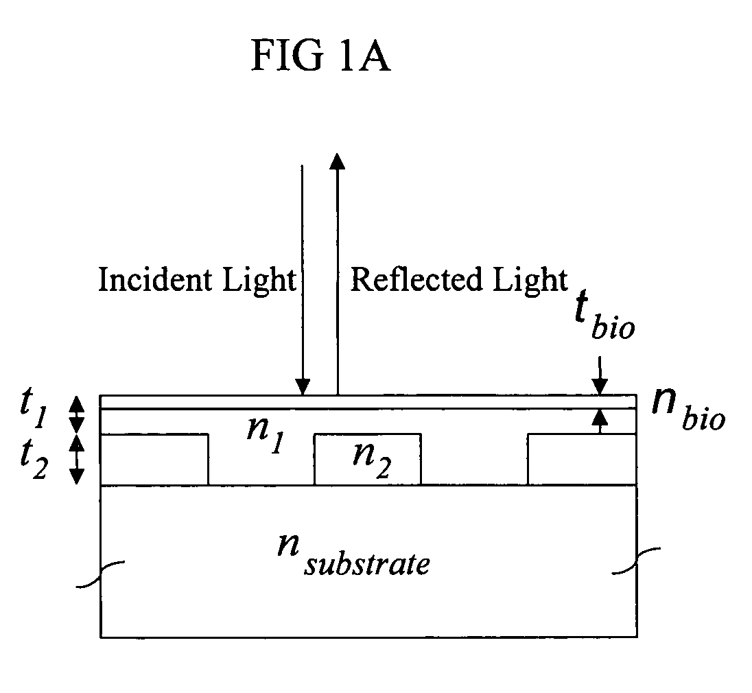 Label-free high-throughput optical technique for detecting biomolecular interactions