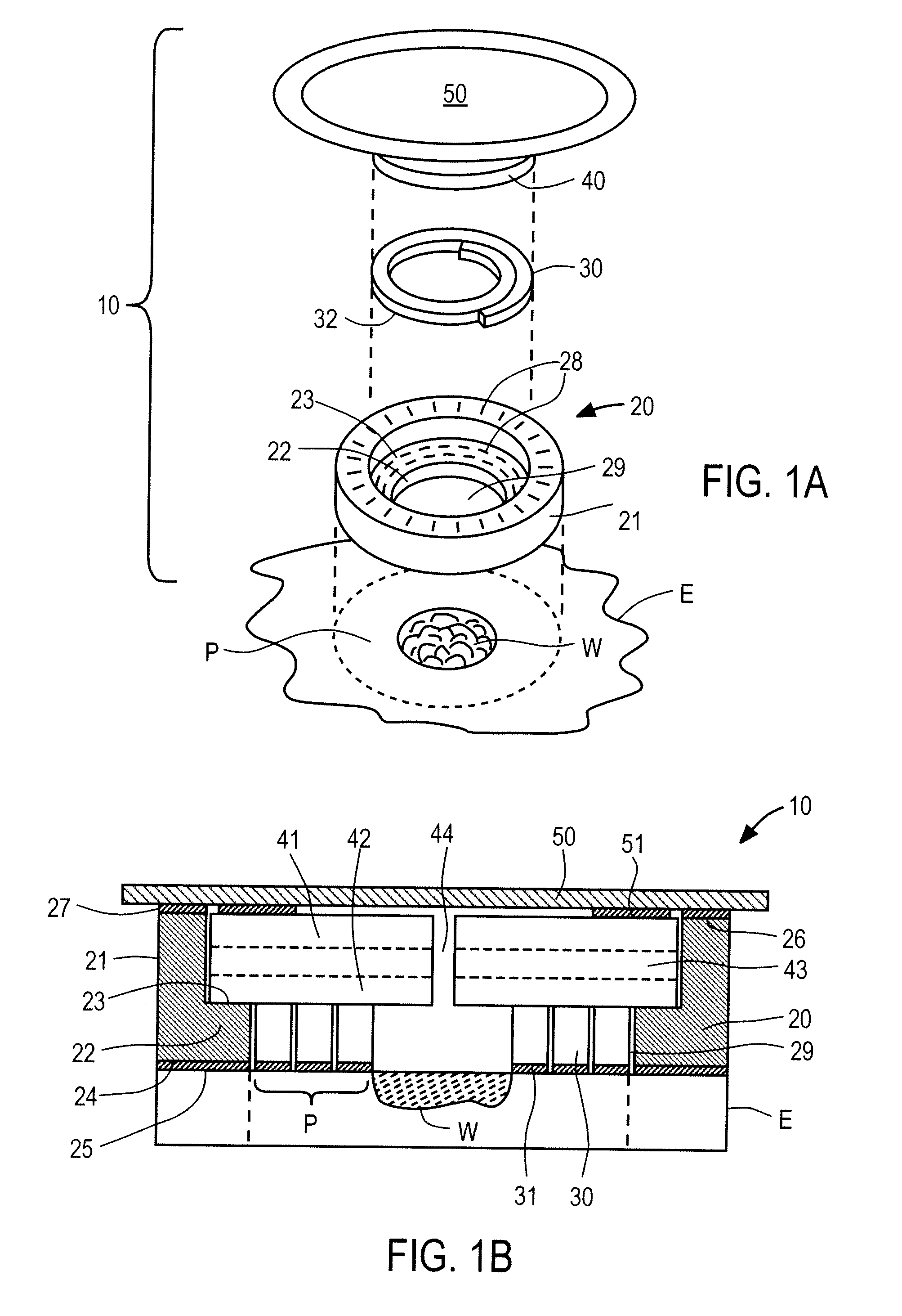 Systems And Methods For Wound Protection And Exudate Management