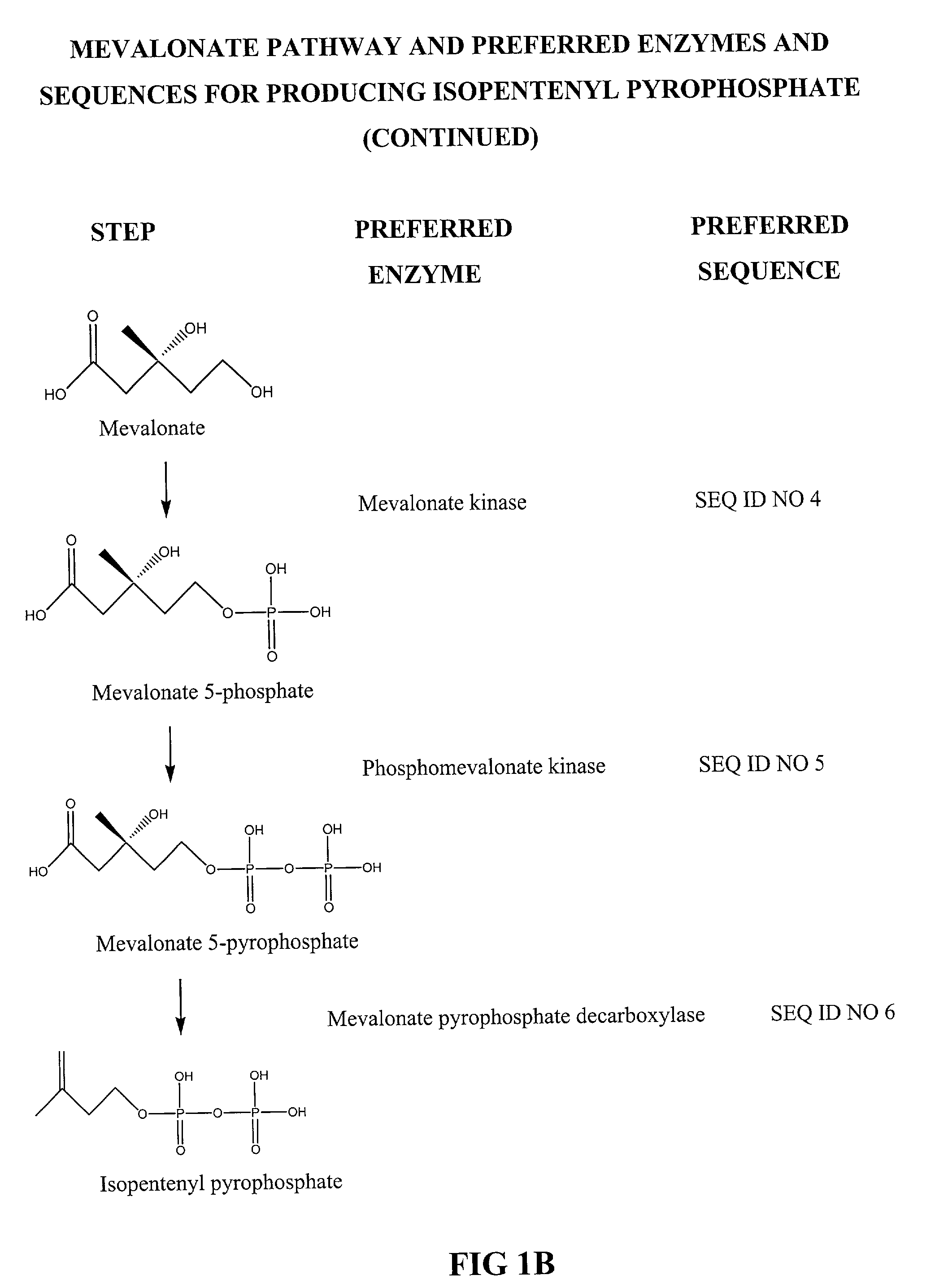 Biosynthesis of isopentenyl pyrophosphate