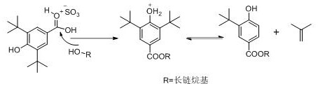 A kind of preparation method of tert-butyl substituted hydroxybenzoate