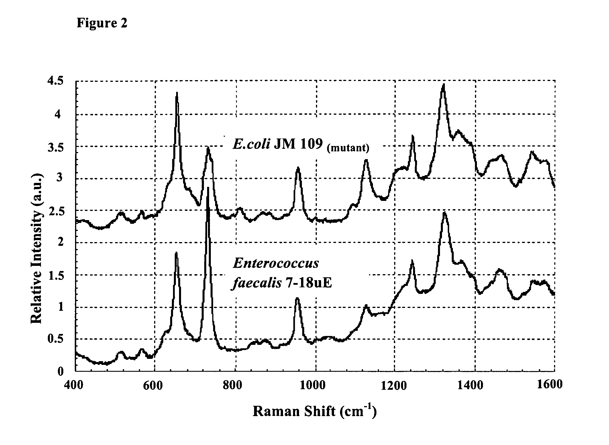 Method for identifying microorganism or detecting its morphology alteration using surface enhanced raman scattering (SERS)
