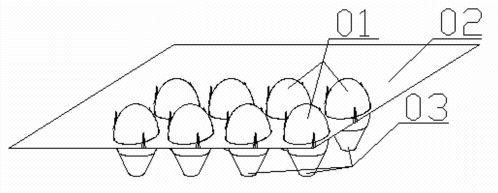 Visual inspection grading device and method for survival rates of eggs incubated in groups