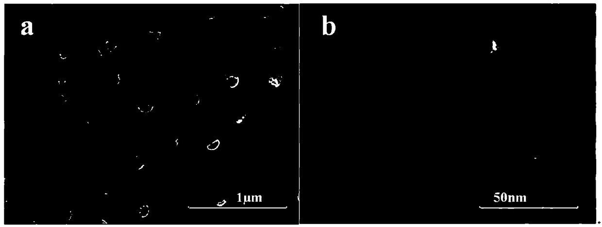 Diatomite-loaded lanthanum-doping nano bismuth oxychloride composite material as well as preparation method and application thereof