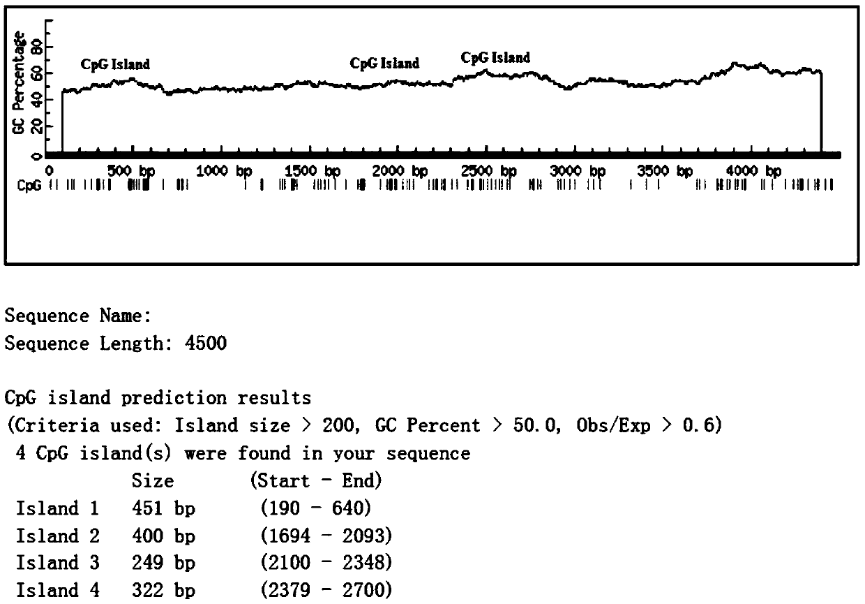 Primers for quantitatively detecting methylation level of rat H19 gene imprinting control region by sodium bisulfite sequencing process