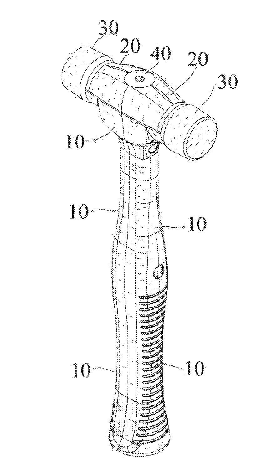 Multifunctional Tool Including Interchangeable Tips