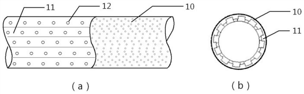 Composite stable layer structure at bottom of heavy metal tailing pond and construction method