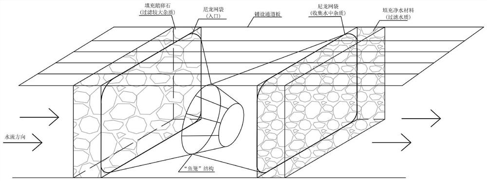 Method for conservation planting begonia plants in water system stream-side ex-situ field and management regulation and control