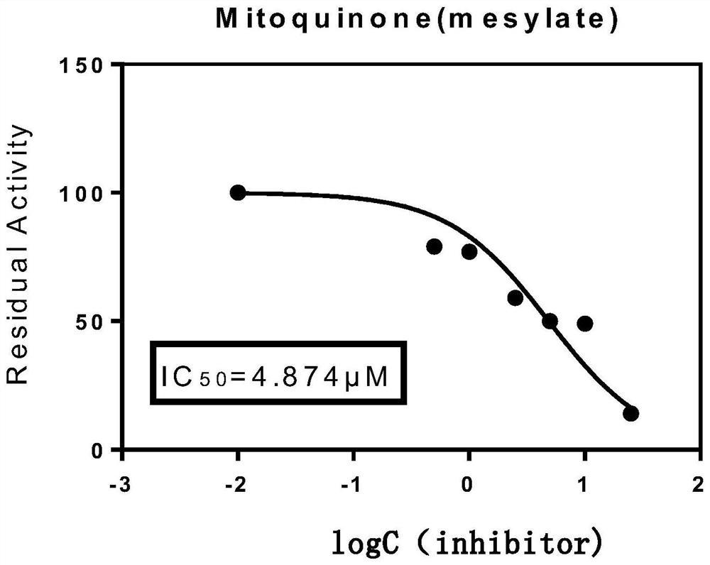 Application of Mitoquinone in preparation of anti-coronavirus infection medicine