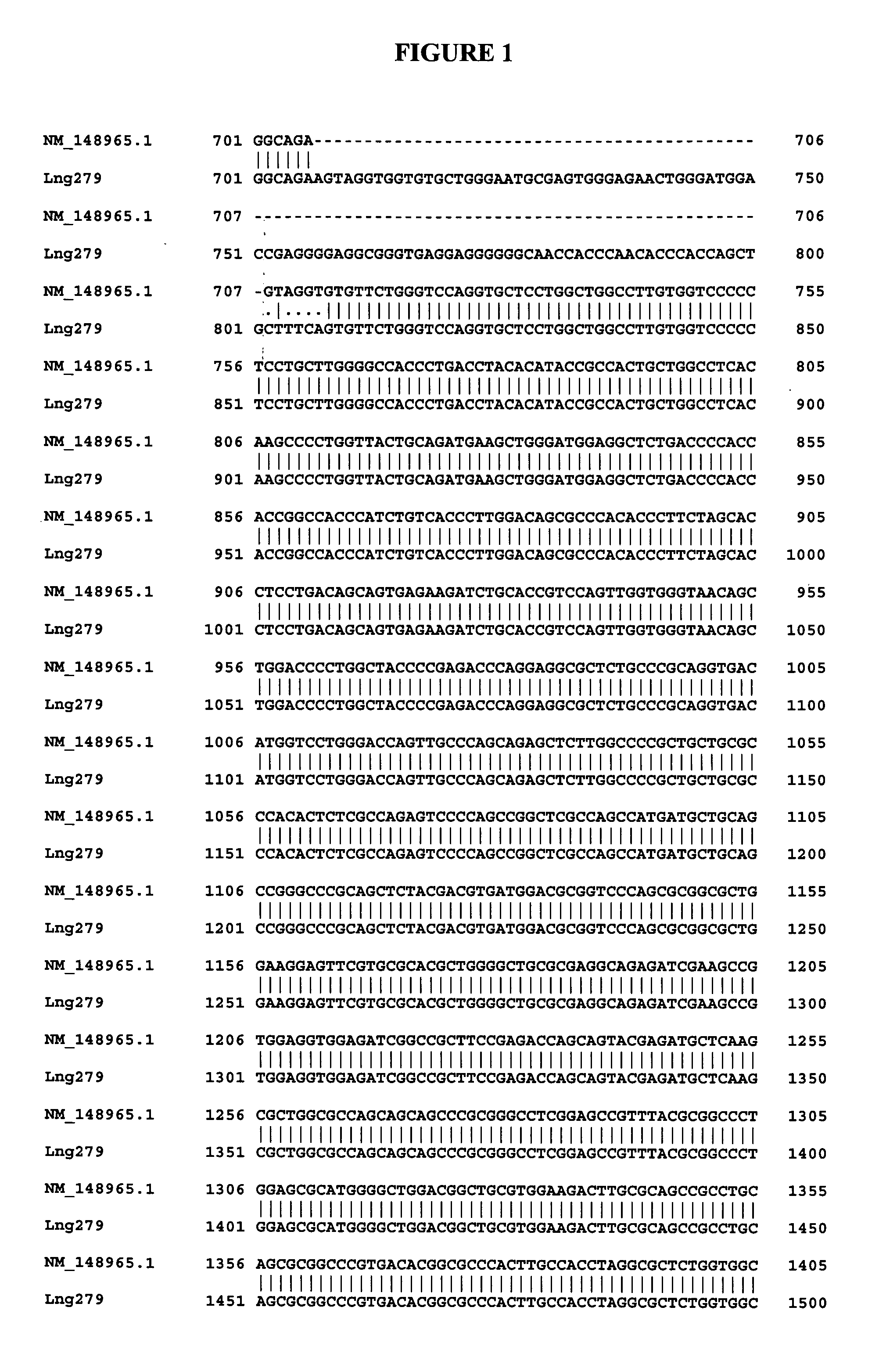 Compositions, splice variants and methods relating to cancer specific genes and proteins