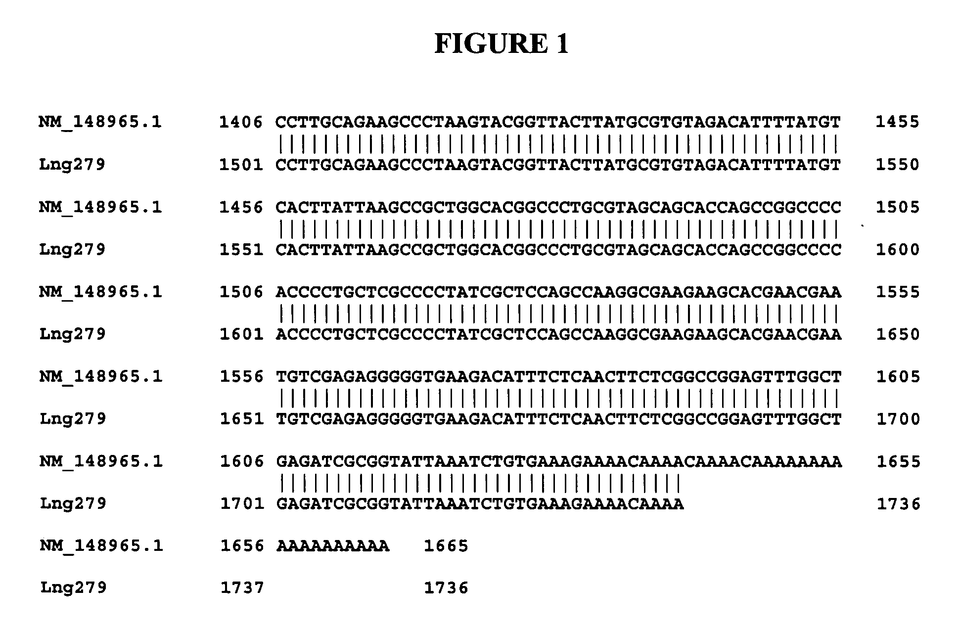 Compositions, splice variants and methods relating to cancer specific genes and proteins