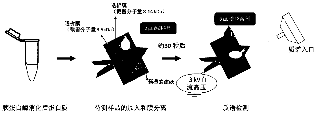 Qualitative and quantitative detection method of bacterial drug resistance protein arma