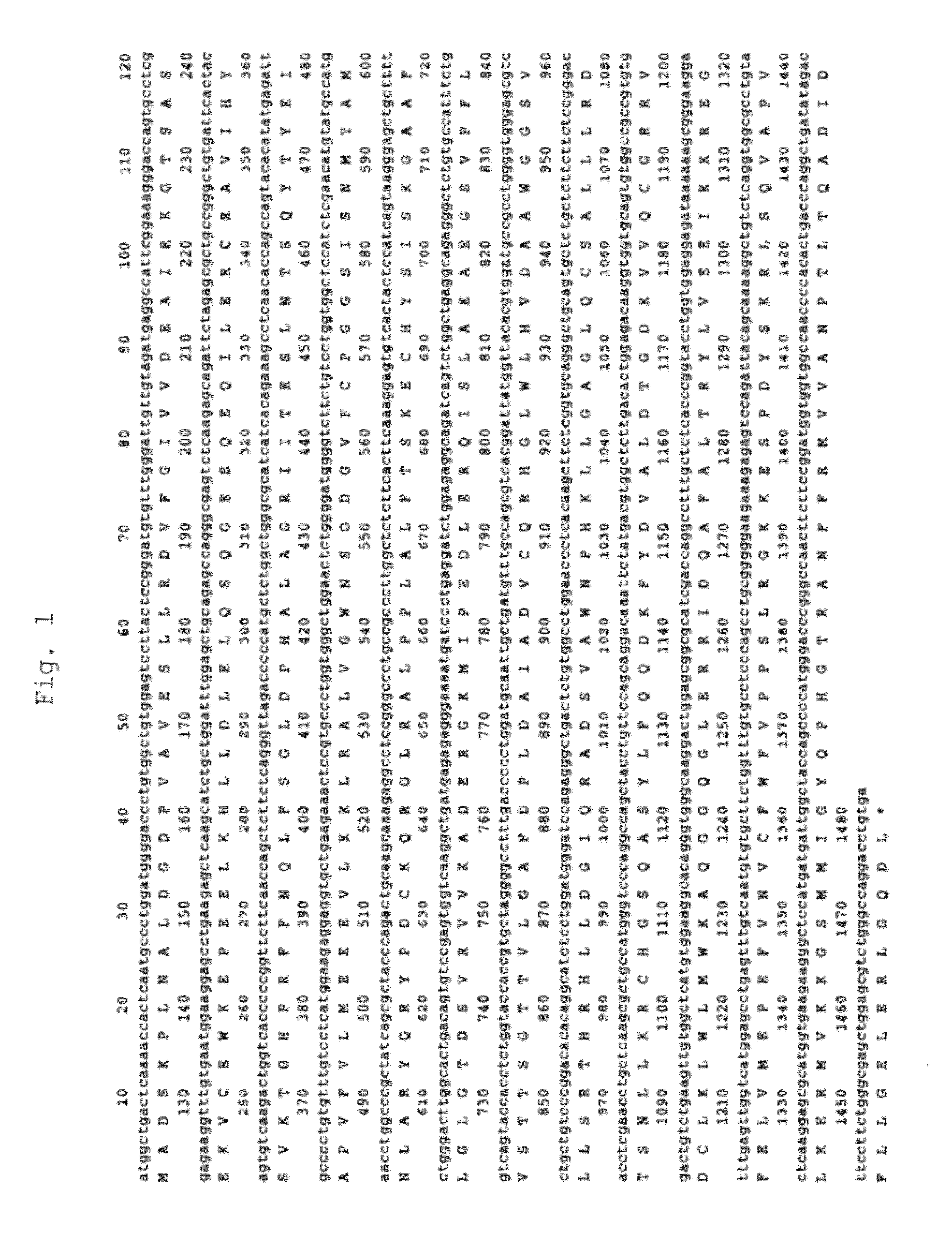 Method for production of polypeptide