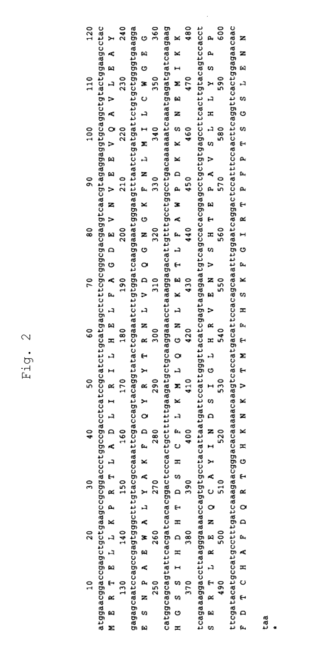 Method for production of polypeptide