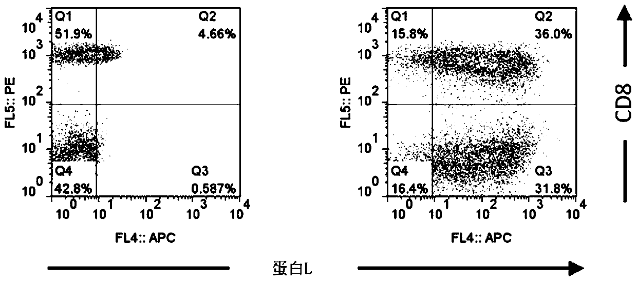 Chimeric antigen receptor