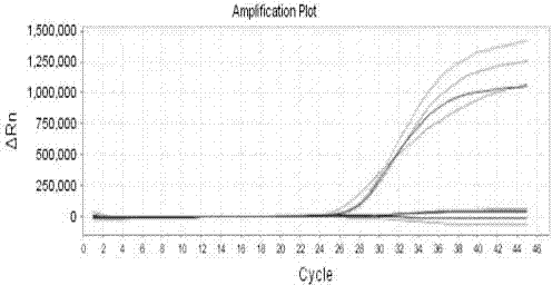 Pathogen nucleic acid-drug resistant gene detection kit and application thereof