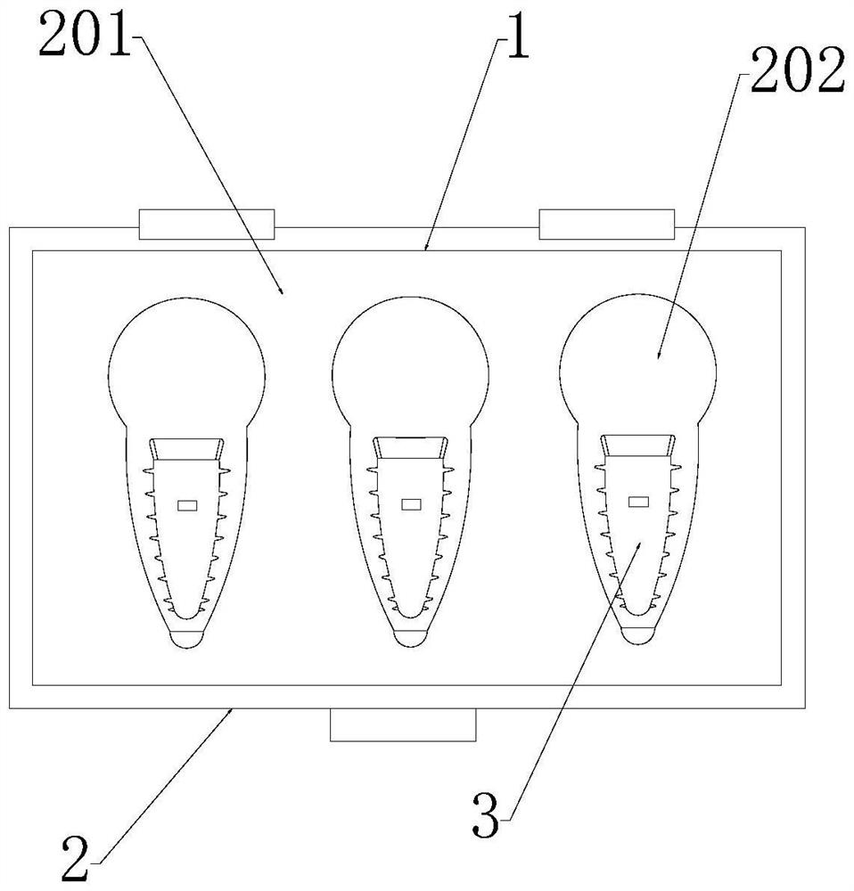 Dental implant for promoting healing